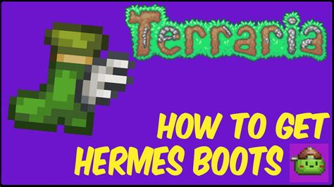 hermes boots terraria wiki|hermes boots upgrades terraria.